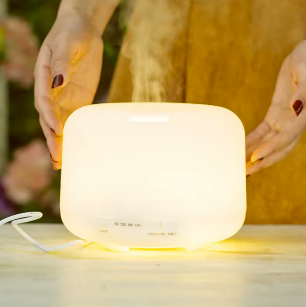 Cool Mist Humidifier & Essential Oil Aromatherapy Diffuser for Sleep